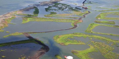 Weeks Marine Restores the Eroded Barrier Beach of Chaland Headlands near Grand Isle, Louisiana, creating 800 acres of functioning wetlands
